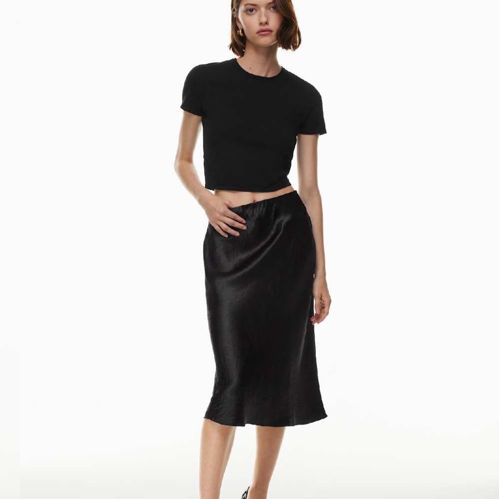 Aritzia Satin Midi Skirt